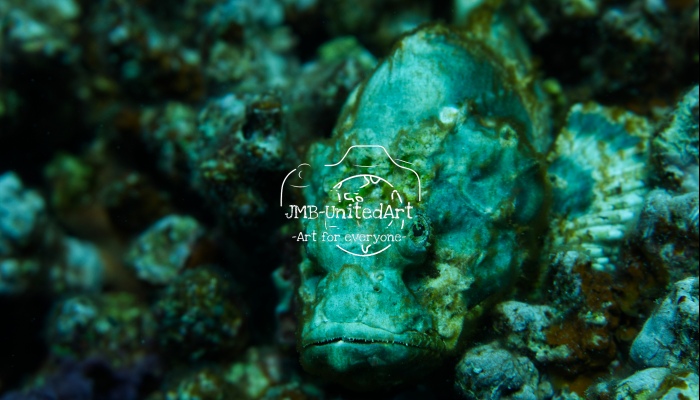 Green Scorpionfish 