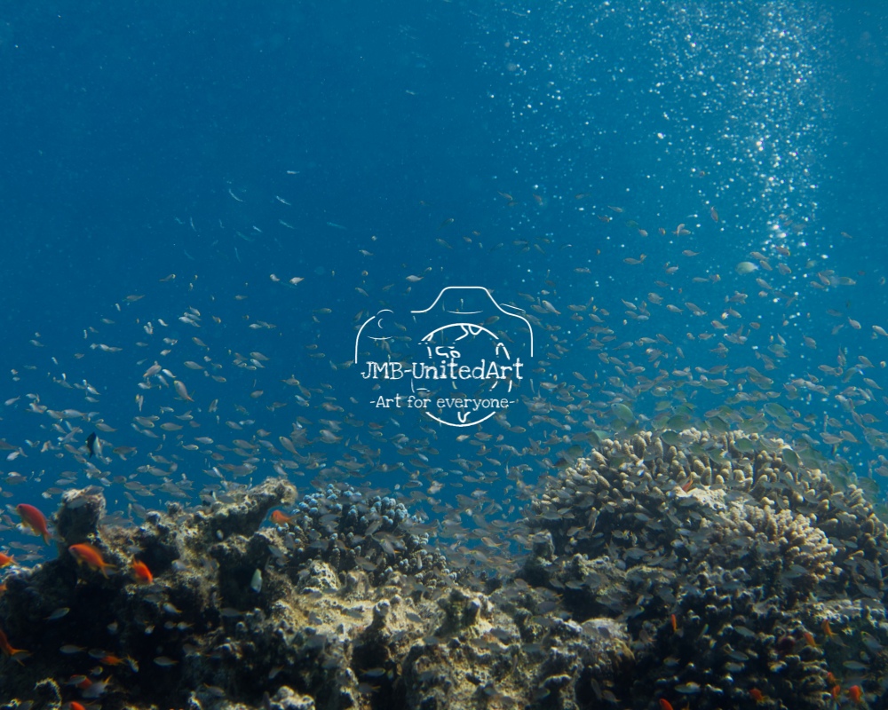 Reef life